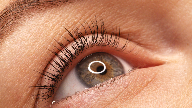 A Woman's Eye with Long Black Eyelashes after Lamination. Closeu